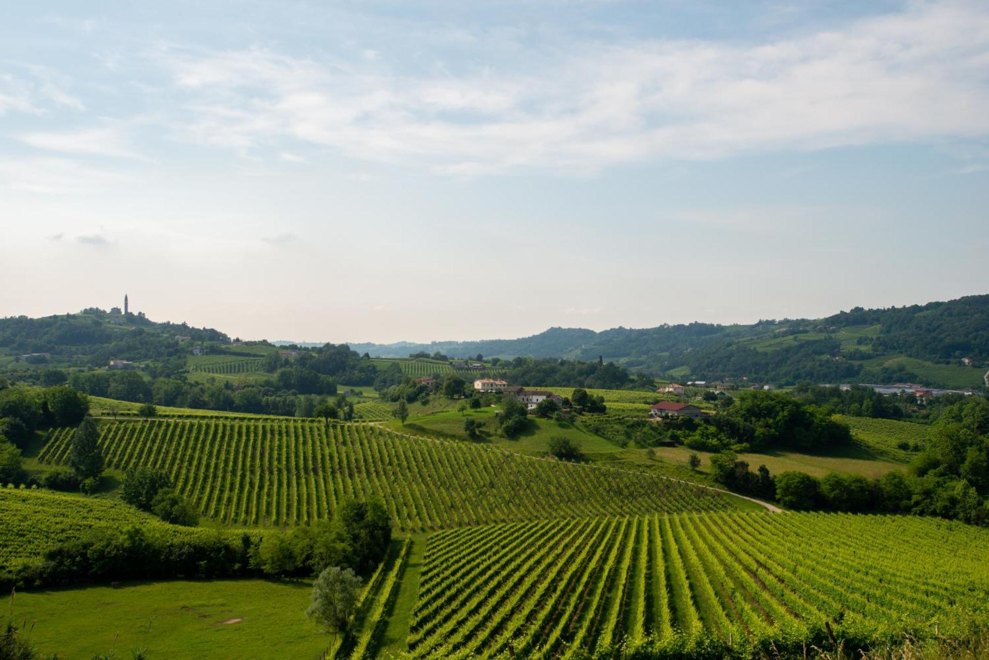 Tenuta Castagnera *