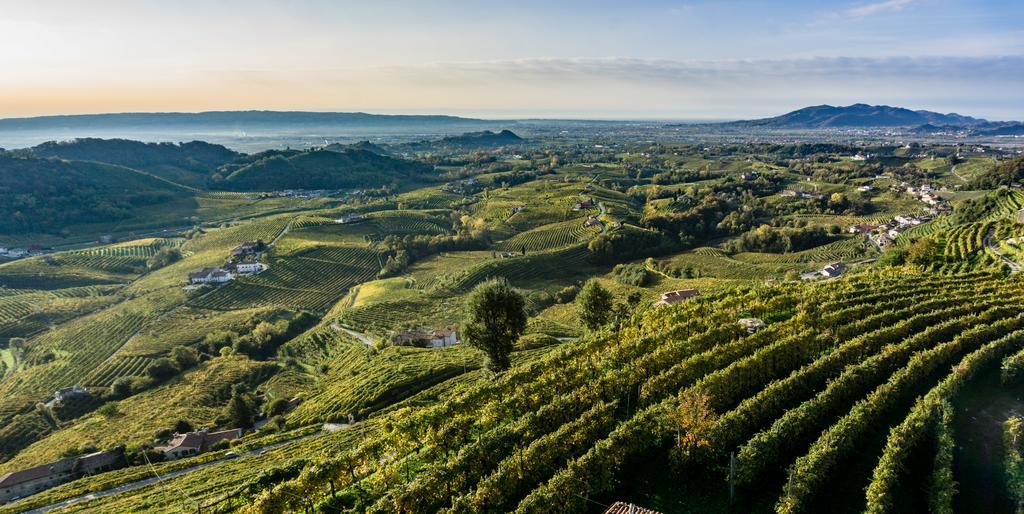 Tenuta Castagnera Tarzo