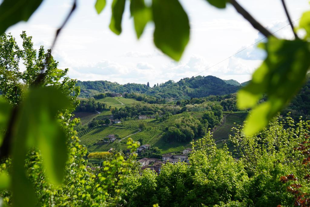 Tenuta Castagnera Tarzo
